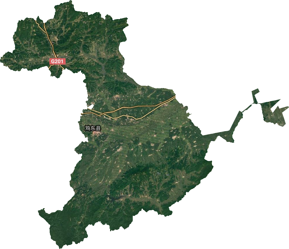 雞東縣衛(wèi)星圖