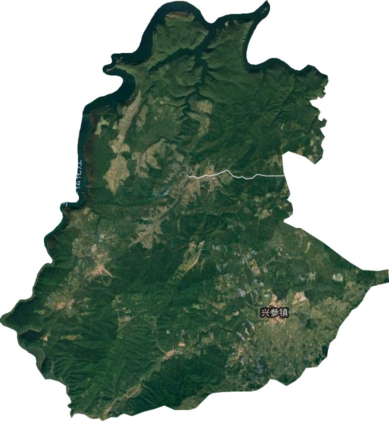 興參鎮衛星圖