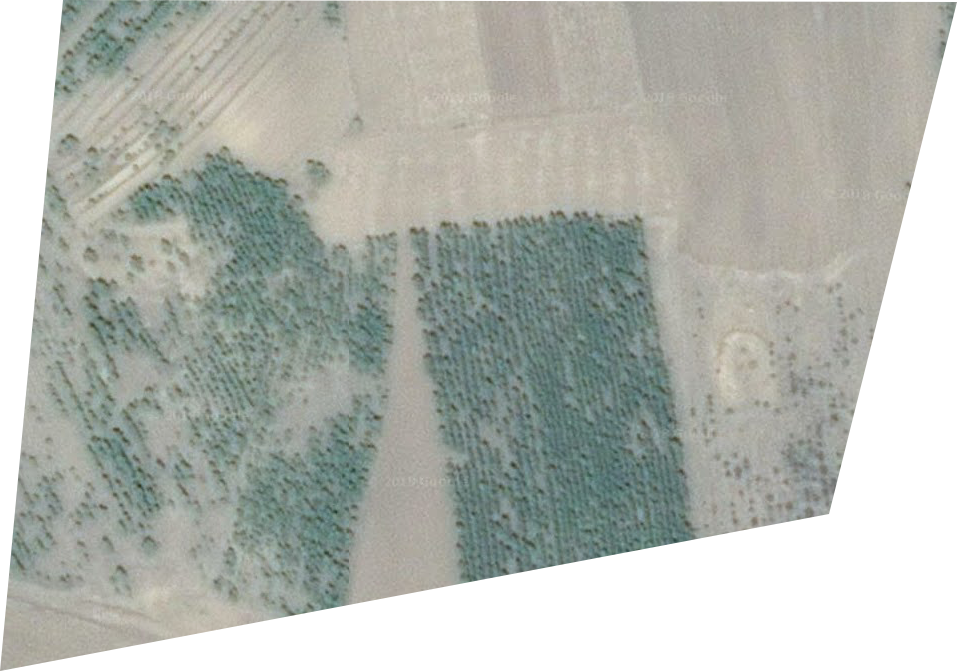 泰來縣二苗圃衛星圖