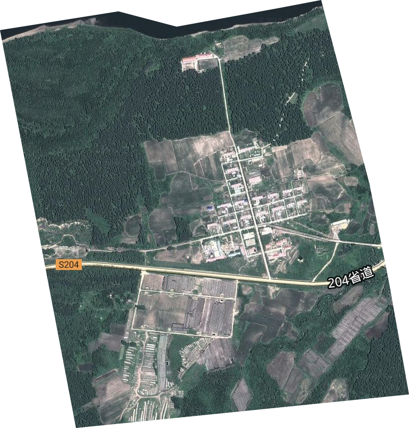 太平林場衛星圖