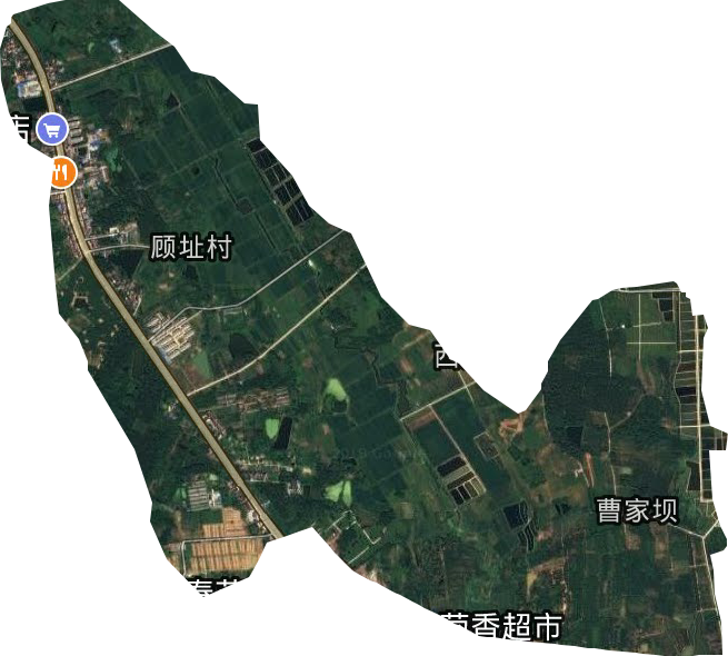 高淳縣傅家壇林場衛星圖
