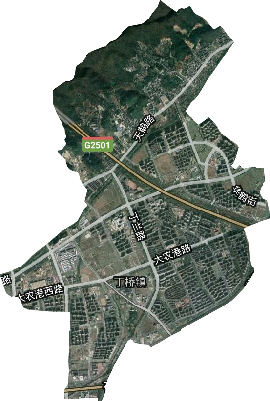 丁橋鎮(zhèn)衛(wèi)星圖