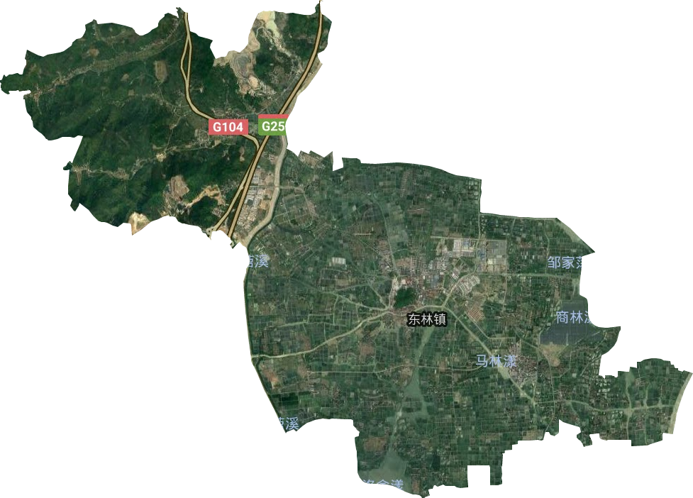 東林鎮(zhèn)衛(wèi)星圖