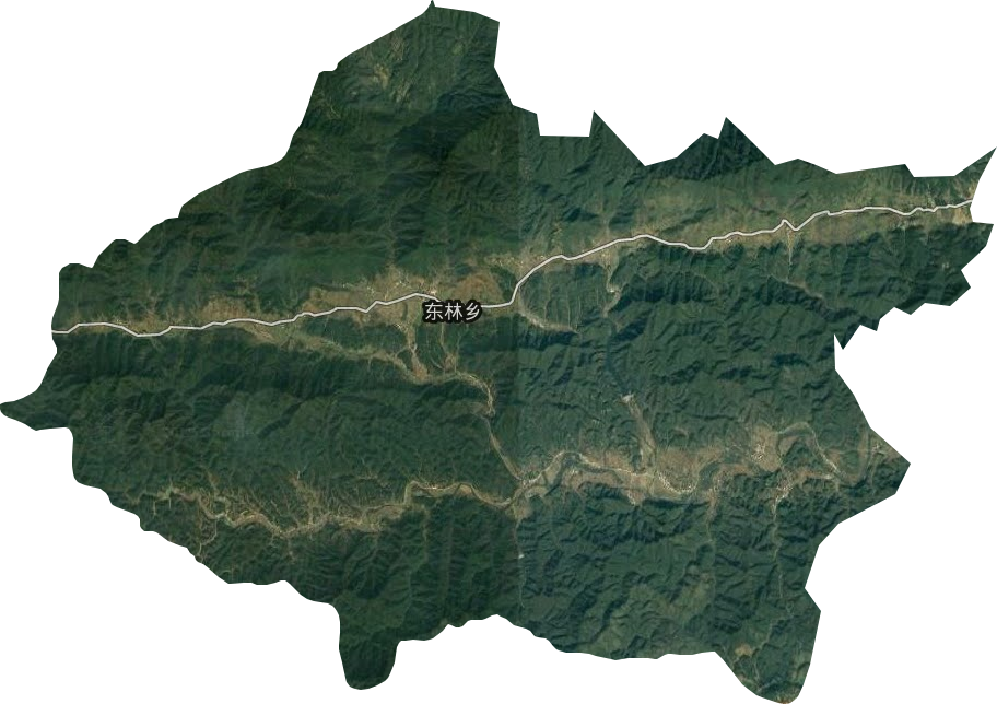 東林鄉(xiāng)衛(wèi)星圖