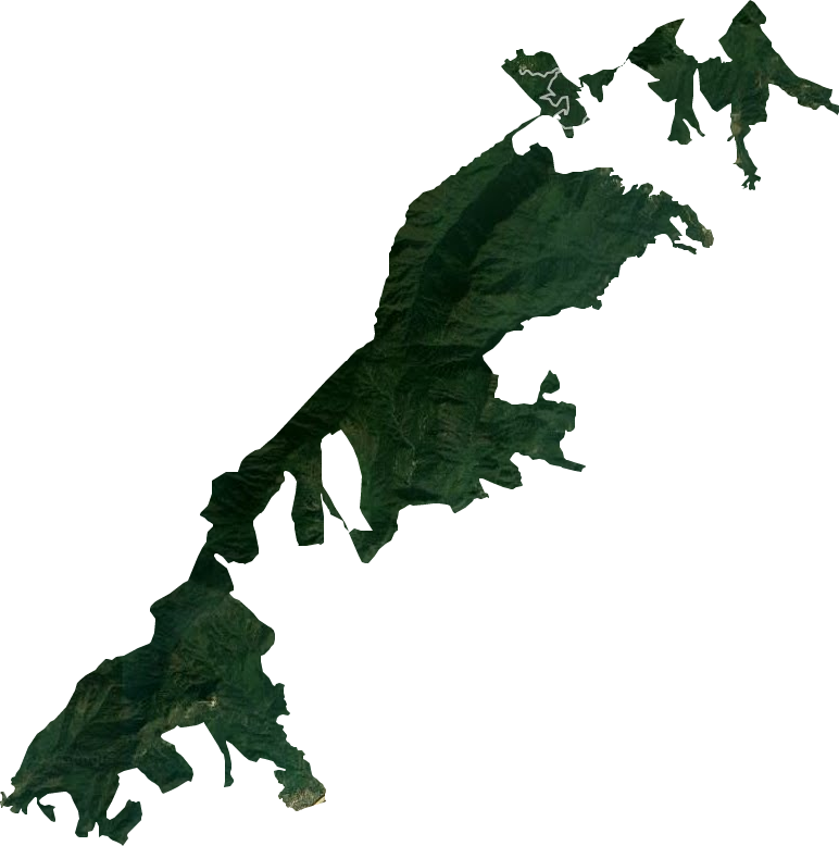 東牯山林場衛(wèi)星圖