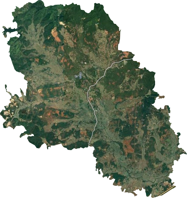 登龍鄉衛星圖