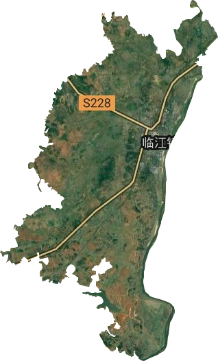 臨江鎮衛星圖