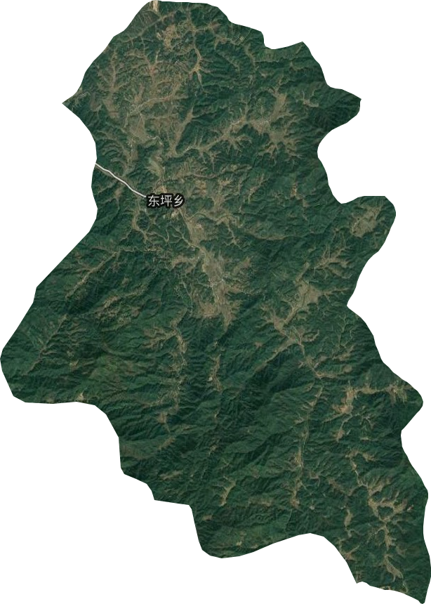 東坪鄉(xiāng)衛(wèi)星圖