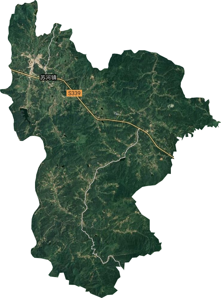 蘇河鎮(zhèn)衛(wèi)星圖