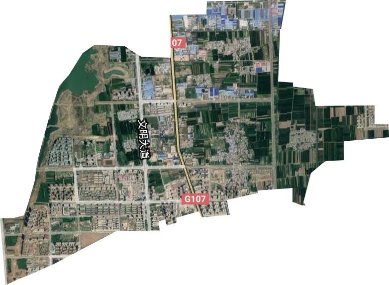 金山街道衛星圖