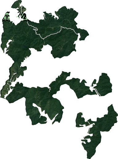 云勇林場衛星圖