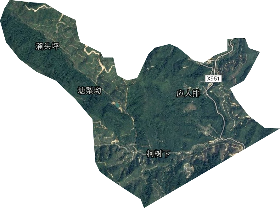 洲瑞林場(chǎng)衛(wèi)星圖