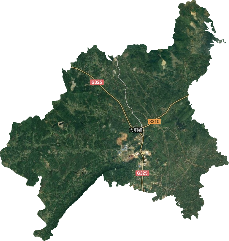 大垌鎮衛星圖