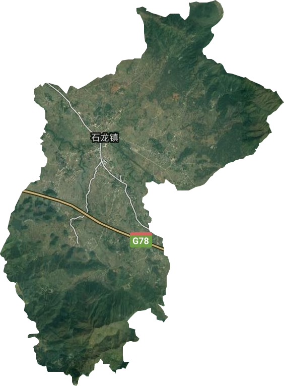石龍鎮衛星圖
