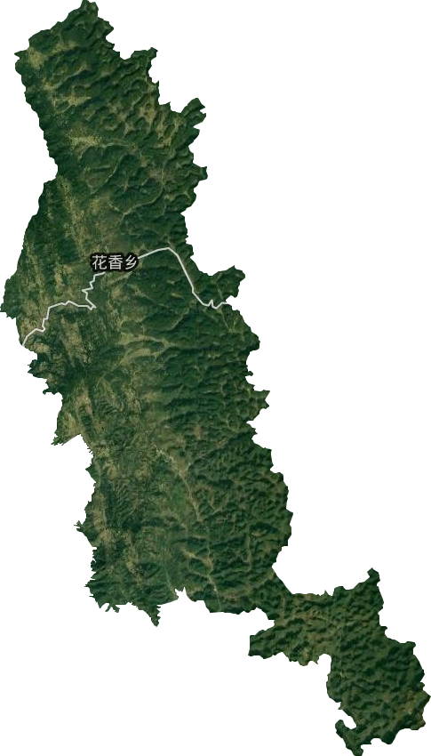 花香鄉衛星圖