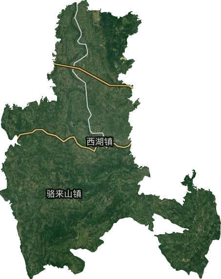 西湖鎮(zhèn)衛(wèi)星圖