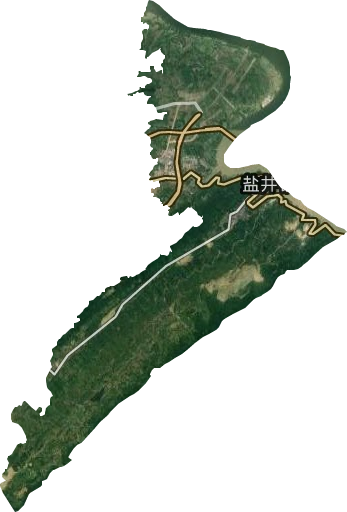 鹽井街道衛星圖