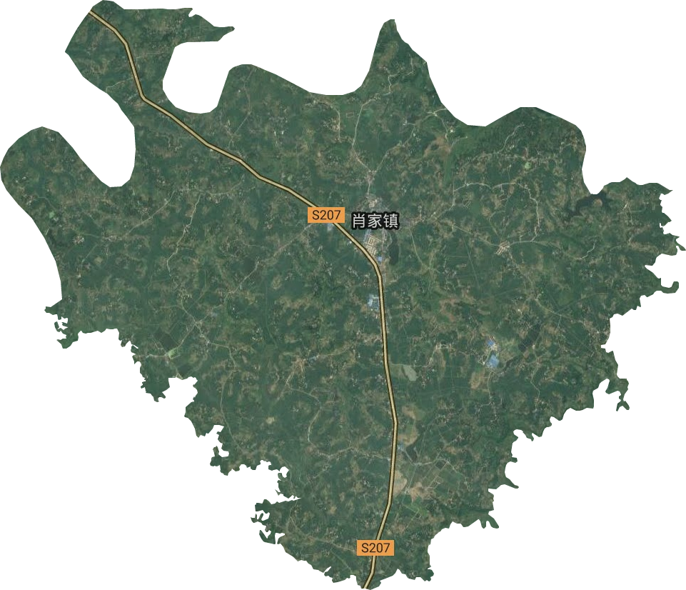 肖家鎮(zhèn)衛(wèi)星圖