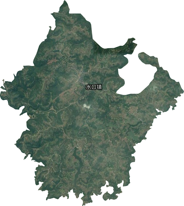 水口鎮(zhèn)衛(wèi)星圖
