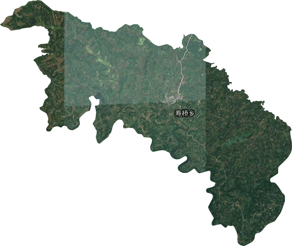 壽橋鎮(zhèn)衛(wèi)星圖