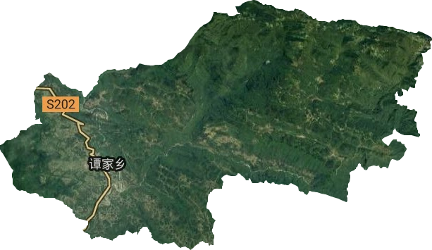 譚家鎮(zhèn)衛(wèi)星圖