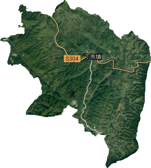 丁市鎮衛星圖