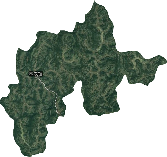 林農鎮衛星圖