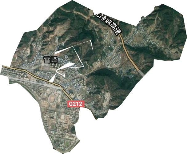 雪峰街道衛星圖