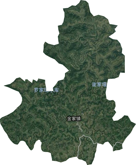 金家鎮(zhèn)衛(wèi)星圖
