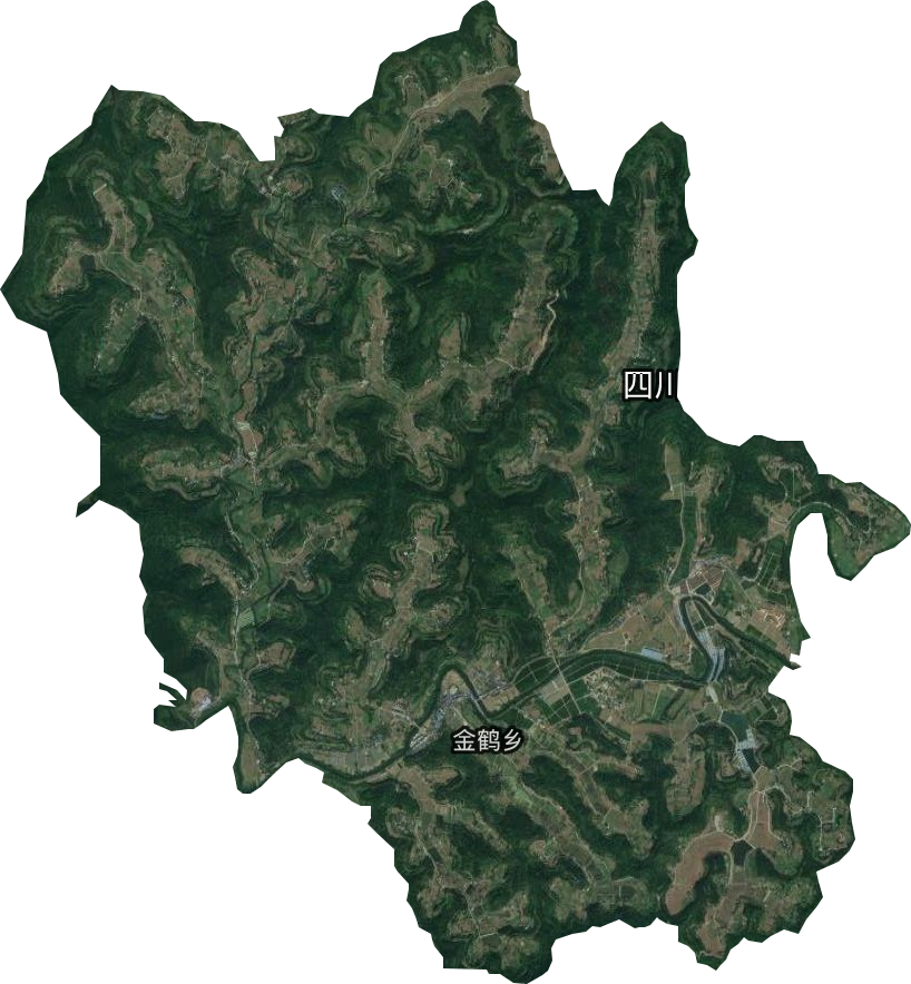 金鶴鄉衛星圖