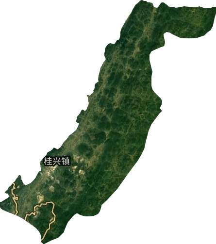 桂興鎮衛星圖