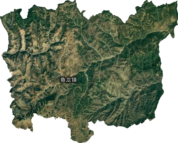 魚龍鎮衛星圖