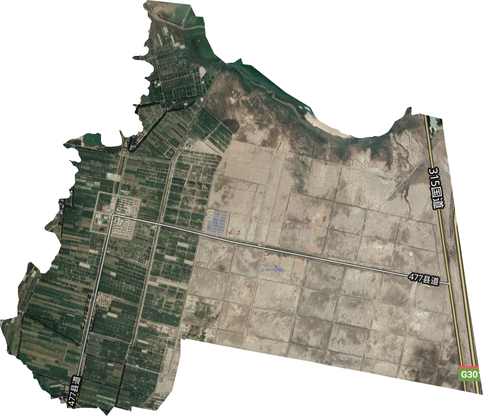 兵團東風農場衛星圖