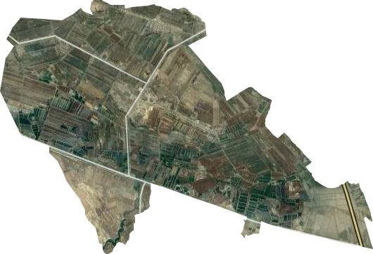 農場場部衛星圖