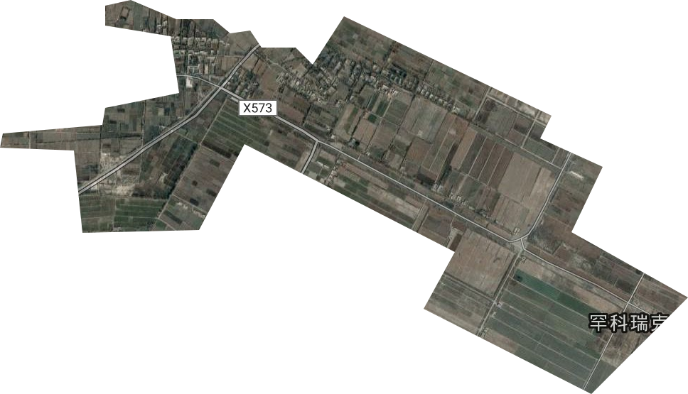 岳普湖縣林場衛星圖