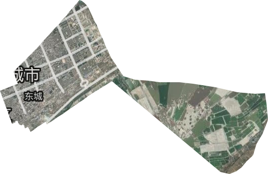 東城街道衛星圖