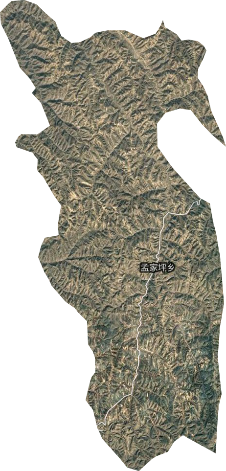 孟家坪鄉衛星圖