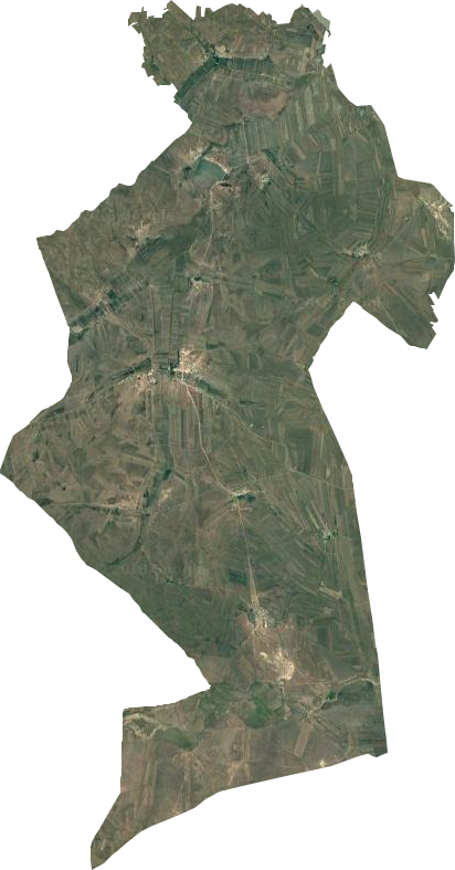 躍進馬場衛星圖