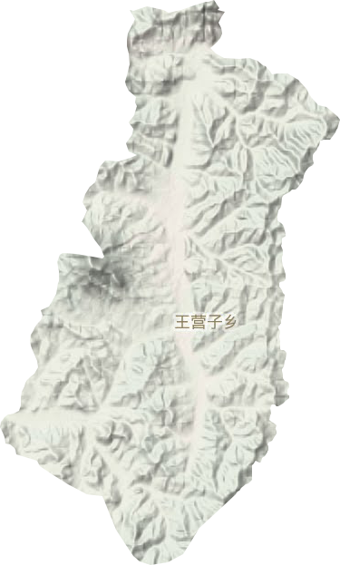 王營子鄉(xiāng)地形圖