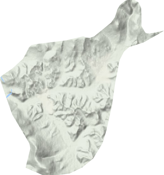 臥龍河林場地形圖
