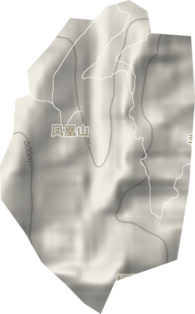 鳳凰山茶場(chǎng)地形圖