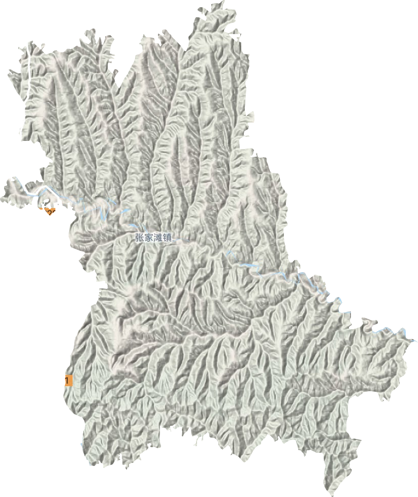 張家灘鎮(zhèn)地形圖