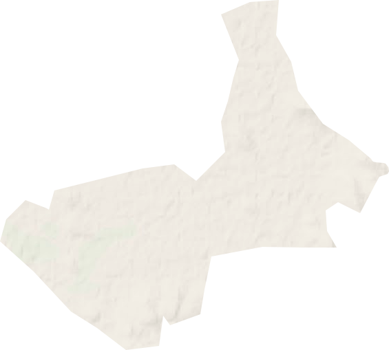 屯墾林場地形圖