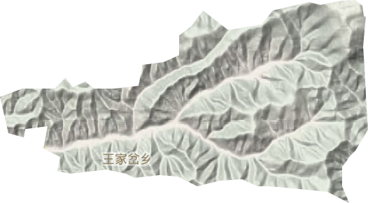 王家岔鄉(xiāng)地形圖