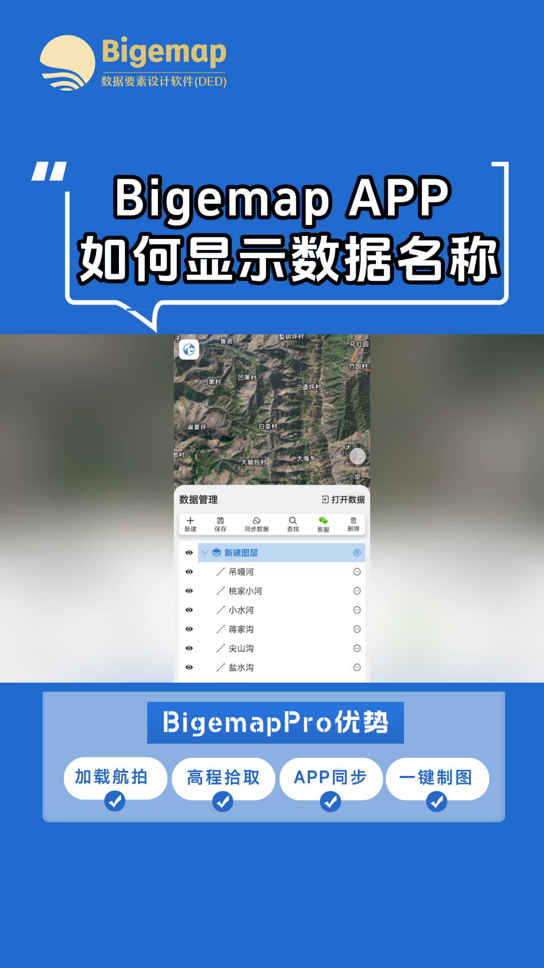 Bigemap APP 如何顯示數(shù)據(jù)名稱